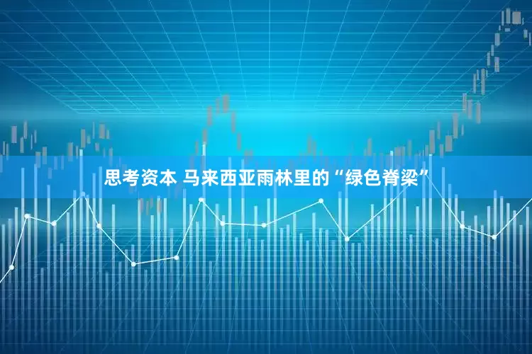 思考资本 马来西亚雨林里的“绿色脊梁”