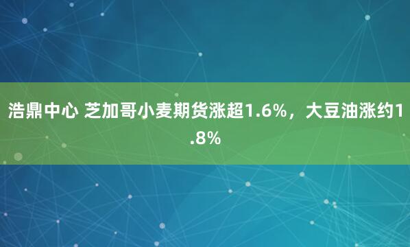 浩鼎中心 芝加哥小麦期货涨超1.6%，大豆油涨约1.8%