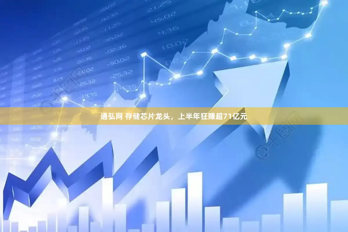 通弘网 存储芯片龙头，上半年狂赚超71亿元