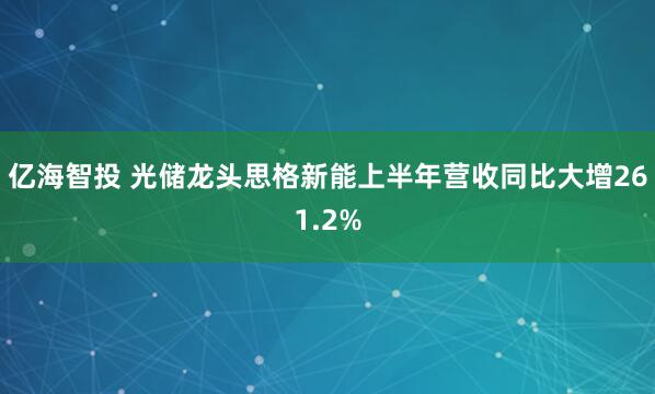 亿海智投 光储龙头思格新能上半年营收同比大增261.2%